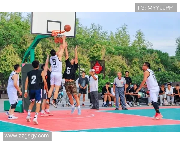 张芳篮球生涯回顾与展望对话分享运动精神与成长故事