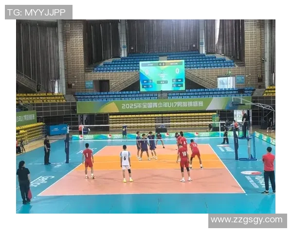 上海排球队在精英赛中的强势表现与战术解析 上海排球队在精英赛中的强势表现与战术解析